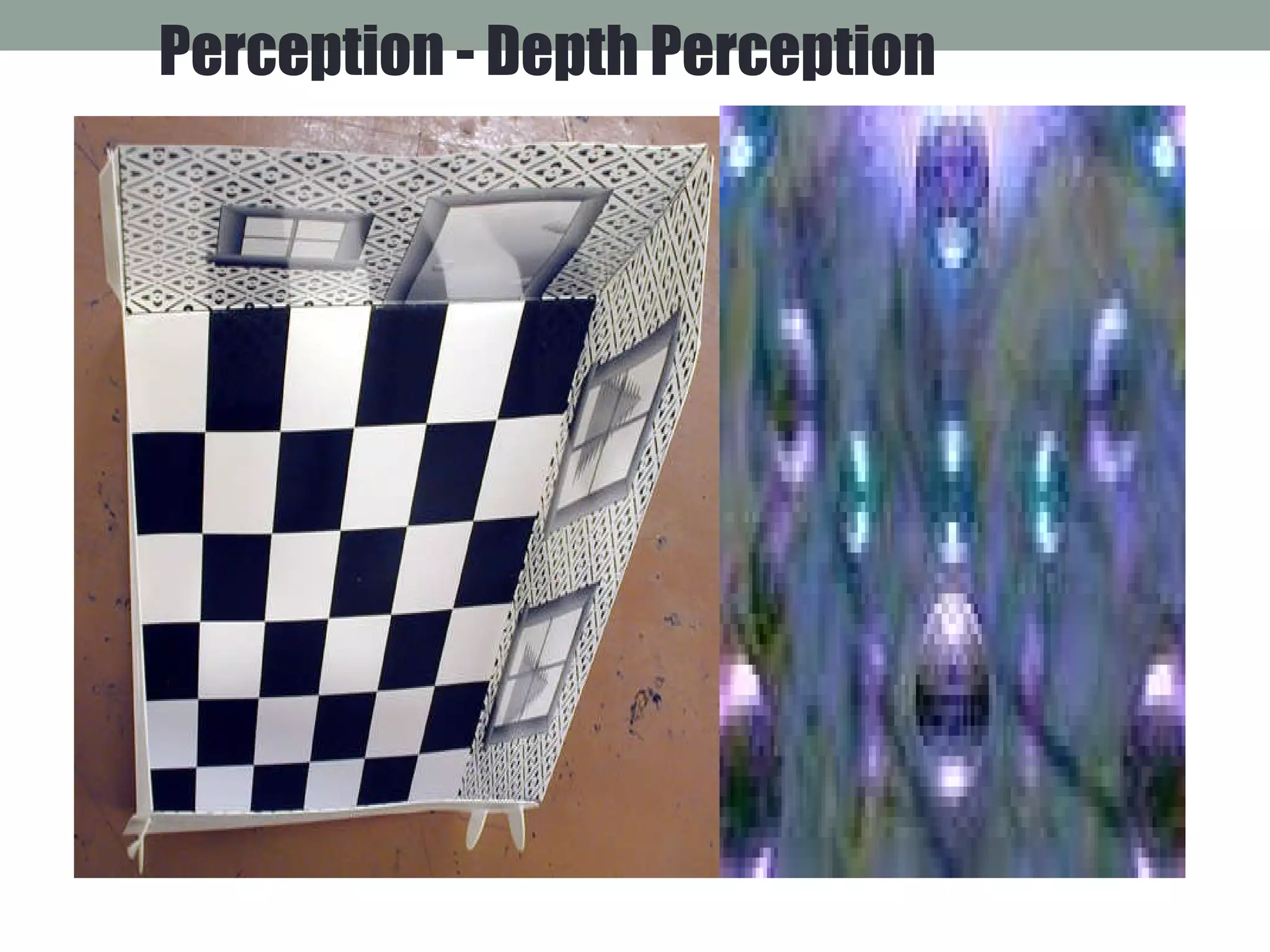 Perception - Depth Perception 
