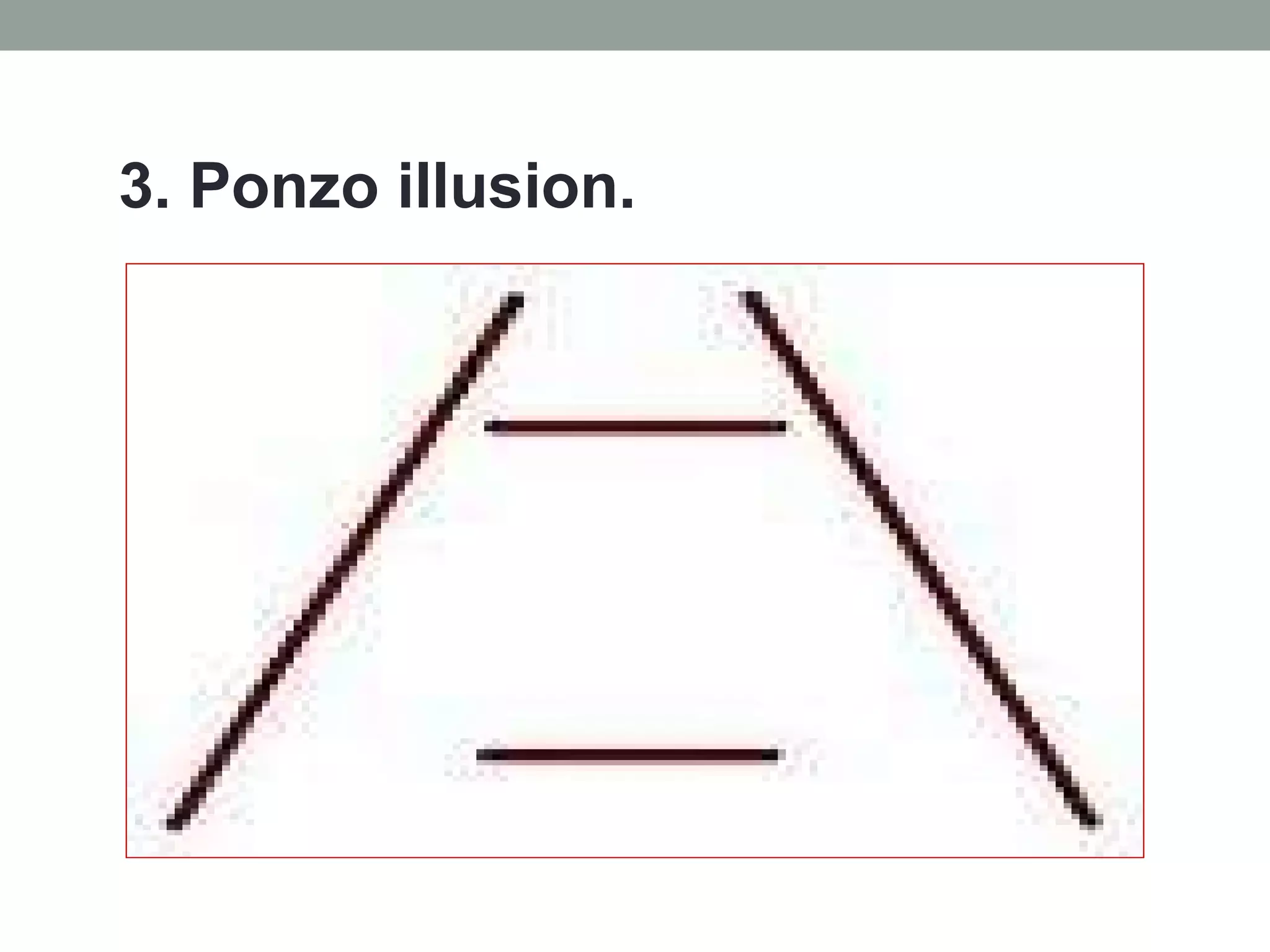 3. Ponzo illusion. 