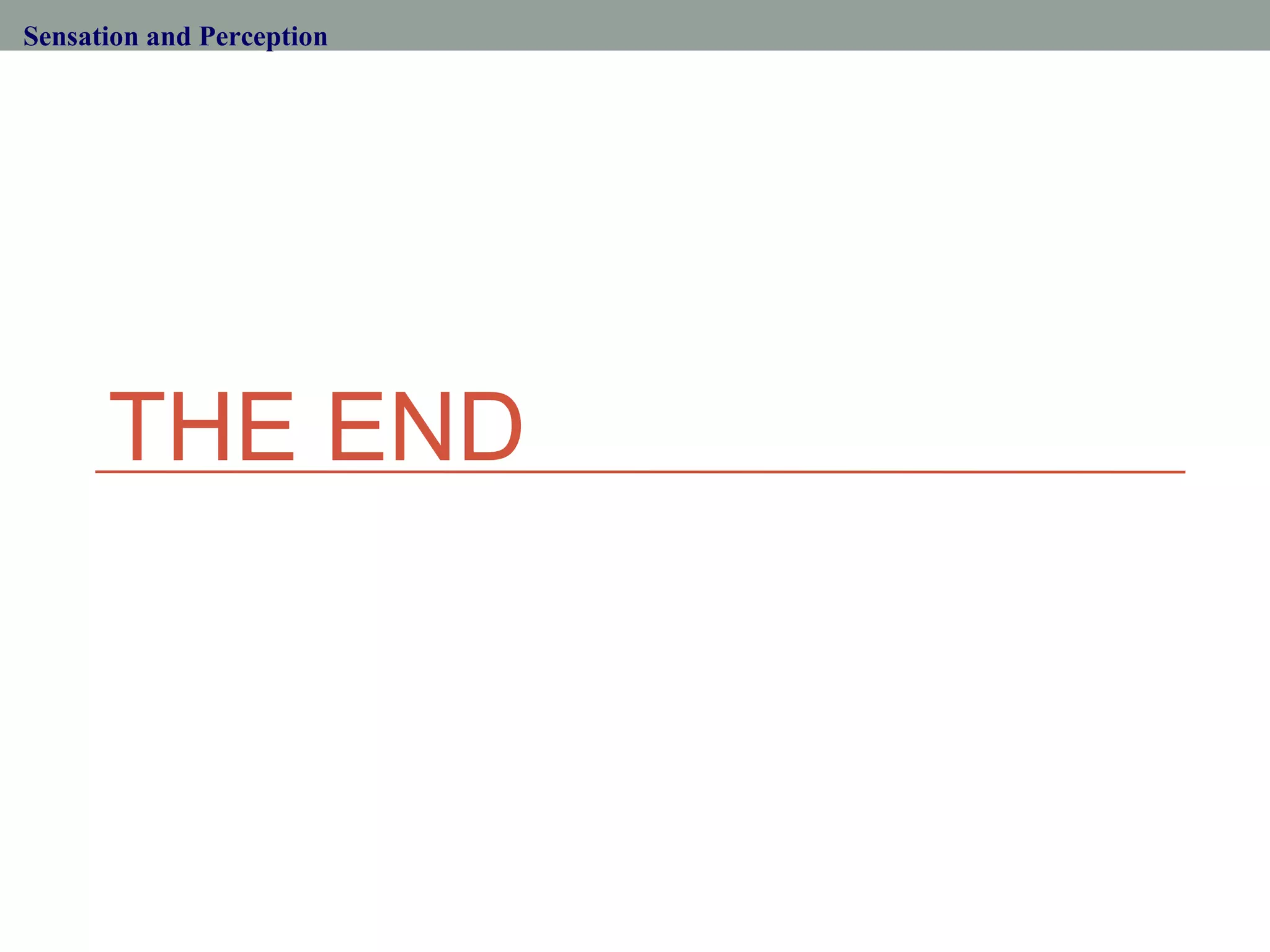 THE END Sensation and Perception 