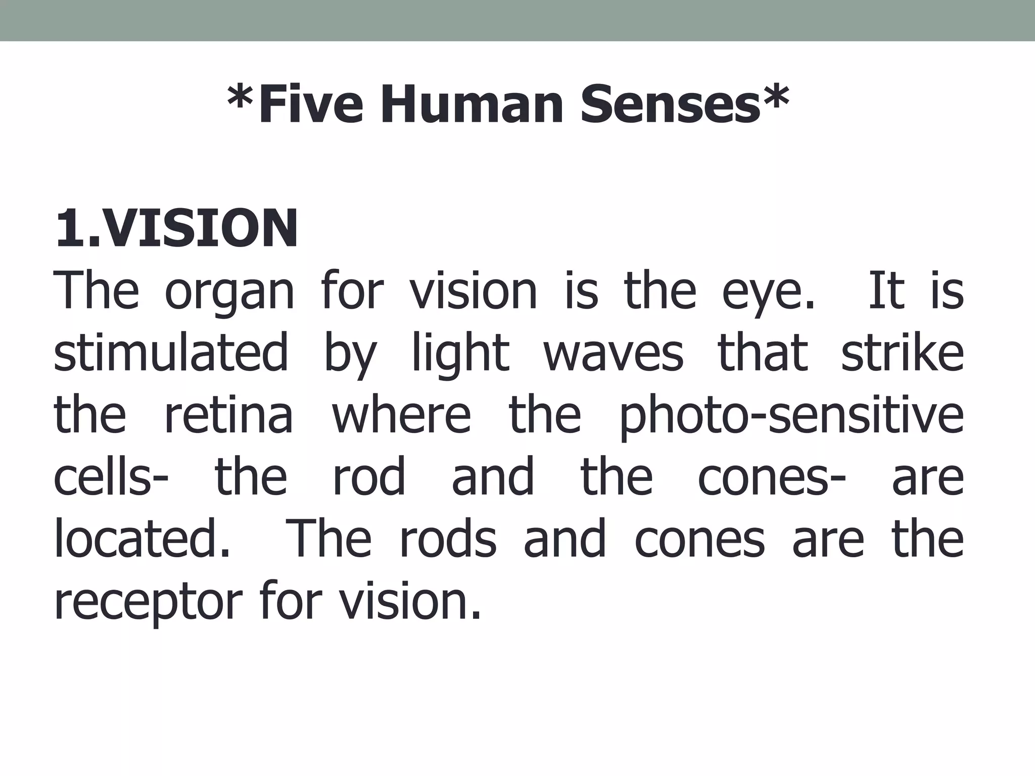 *Five Human Senses* 1.VISION The organ for vision is the eye.  It is stimulated by light waves that strike the retina where the photo-sensitive cells- the rod and the cones- are located.  The rods and cones are the receptor for vision. 