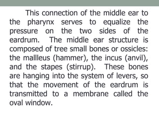 This connection of the middle ear to the pharynx serves to equalize the pressure on the two sides of the eardrum.  The mid...