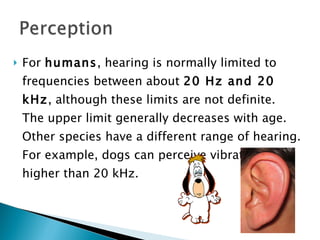Perception and sound | PPS