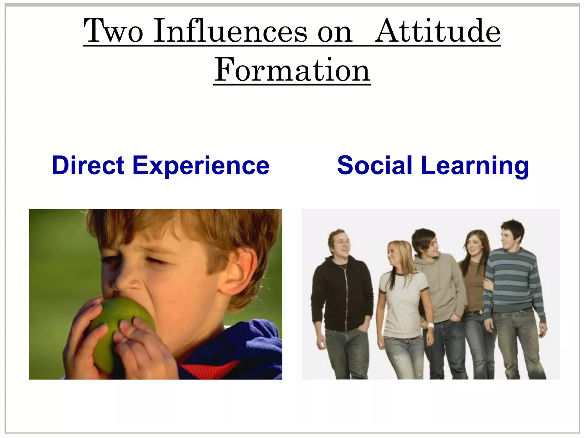 Two Influences on Attitude
Formation
Social LearningDirect Experience
 
