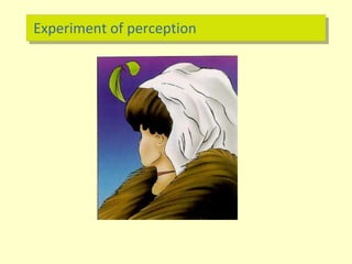 Experiment of perception
 