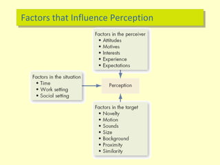 Factors that Influence Perception
 