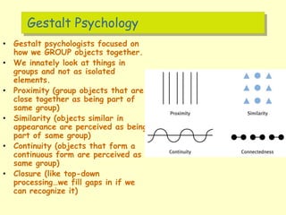 Gestalt Psychology
• Gestalt psychologists focused on
how we GROUP objects together.
• We innately look at things in
groups and not as isolated
elements.
• Proximity (group objects that are
close together as being part of
same group)
• Similarity (objects similar in
appearance are perceived as being
part of same group)
• Continuity (objects that form a
continuous form are perceived as
same group)
• Closure (like top-down
processing…we fill gaps in if we
can recognize it)
 