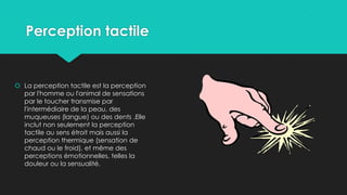 Perception tactile
 La perception tactile est la perception
par l'homme ou l'animal de sensations
par le toucher transmise par
l'intermédiaire de la peau, des
muqueuses (langue) ou des dents .Elle
inclut non seulement la perception
tactile au sens étroit mais aussi la
perception thermique (sensation de
chaud ou le froid), et même des
perceptions émotionnelles, telles la
douleur ou la sensualité.
 