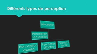 Différents types de perception
 