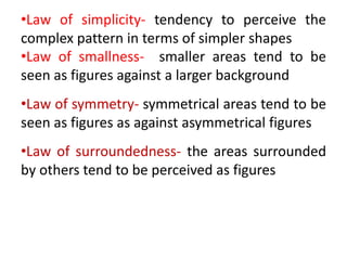 Perception b.ed
