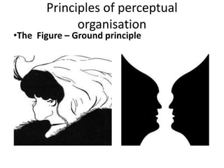 Perception b.ed