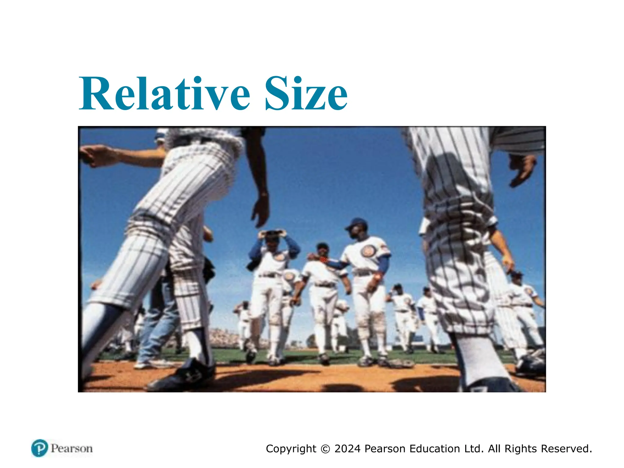 Copyright © 2024 Pearson Education Ltd. All Rights Reserved.
Relative Size
 