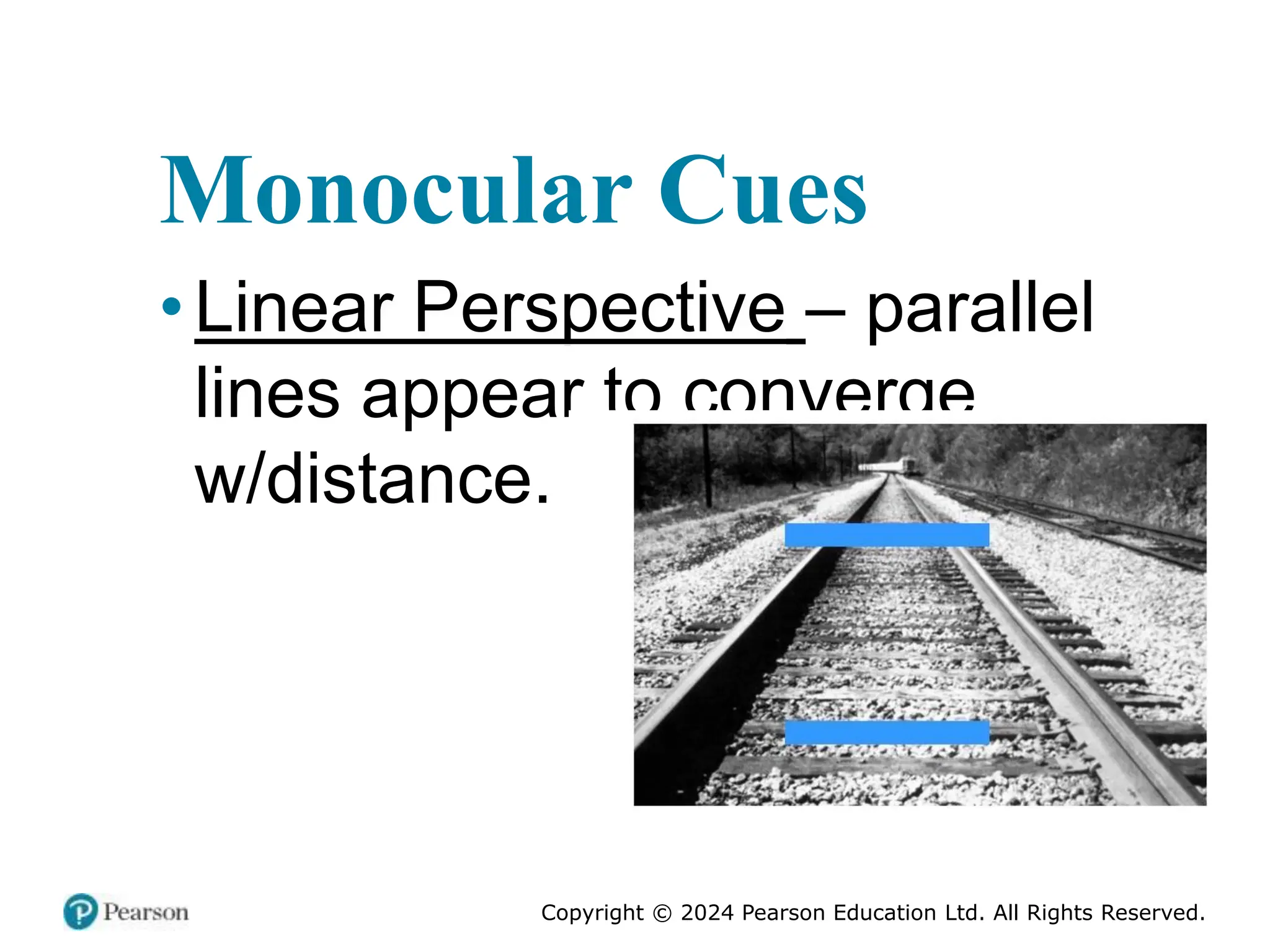 Copyright © 2024 Pearson Education Ltd. All Rights Reserved.
Monocular Cues
•Linear Perspective – parallel
lines appear to converge
w/distance.
 