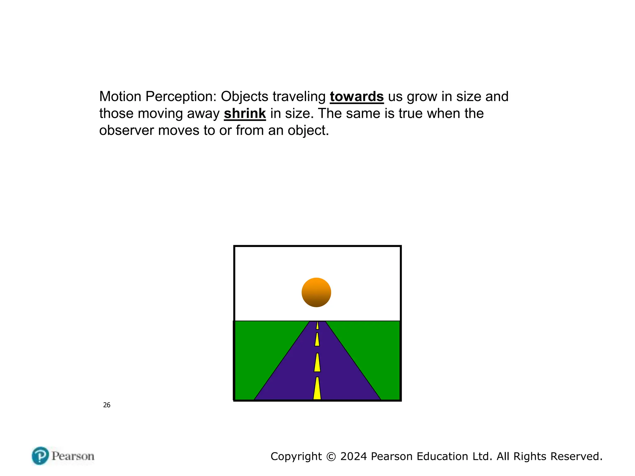 Copyright © 2024 Pearson Education Ltd. All Rights Reserved.
26
Motion Perception: Objects traveling towards us grow in size and
those moving away shrink in size. The same is true when the
observer moves to or from an object.
 