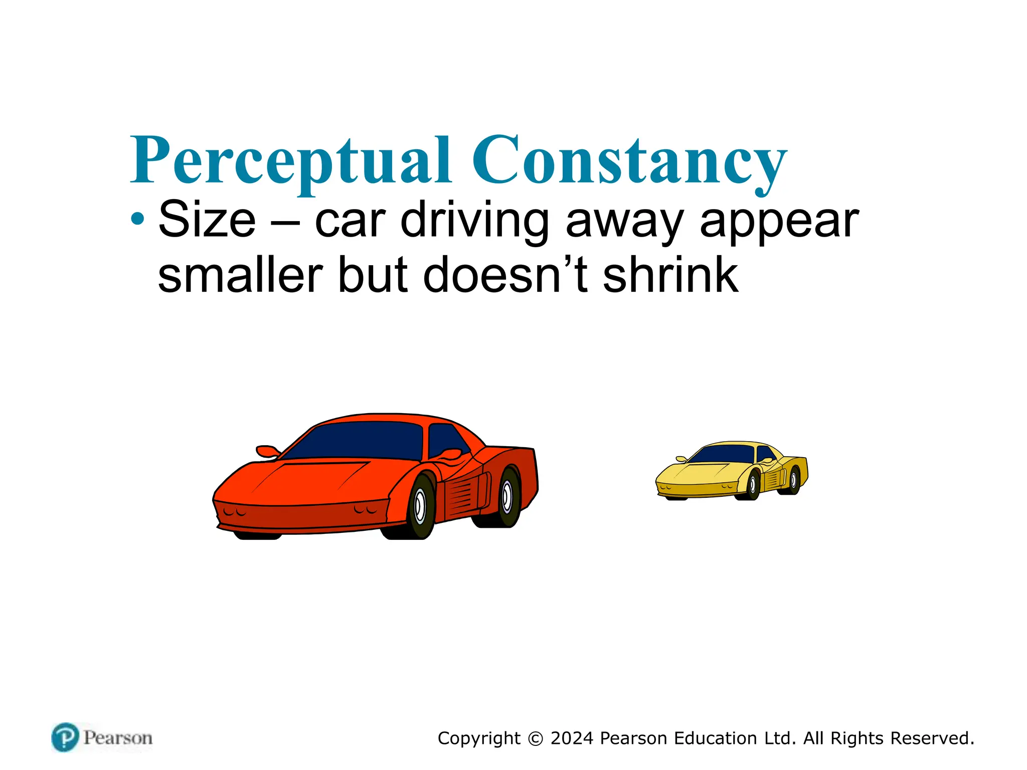Copyright © 2024 Pearson Education Ltd. All Rights Reserved.
Perceptual Constancy
• Size – car driving away appear
smaller but doesn’t shrink
 