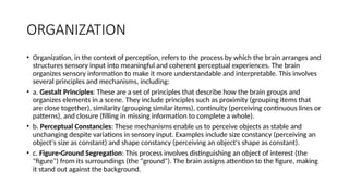 ORGANIZATION
• Organization, in the context of perception, refers to the process by which the brain arranges and
structures sensory input into meaningful and coherent perceptual experiences. The brain
organizes sensory information to make it more understandable and interpretable. This involves
several principles and mechanisms, including:
• a. Gestalt Principles: These are a set of principles that describe how the brain groups and
organizes elements in a scene. They include principles such as proximity (grouping items that
are close together), similarity (grouping similar items), continuity (perceiving continuous lines or
patterns), and closure (filling in missing information to complete a whole).
• b. Perceptual Constancies: These mechanisms enable us to perceive objects as stable and
unchanging despite variations in sensory input. Examples include size constancy (perceiving an
object's size as constant) and shape constancy (perceiving an object's shape as constant).
• c. Figure-Ground Segregation: This process involves distinguishing an object of interest (the
"figure") from its surroundings (the "ground"). The brain assigns attention to the figure, making
it stand out against the background.
 