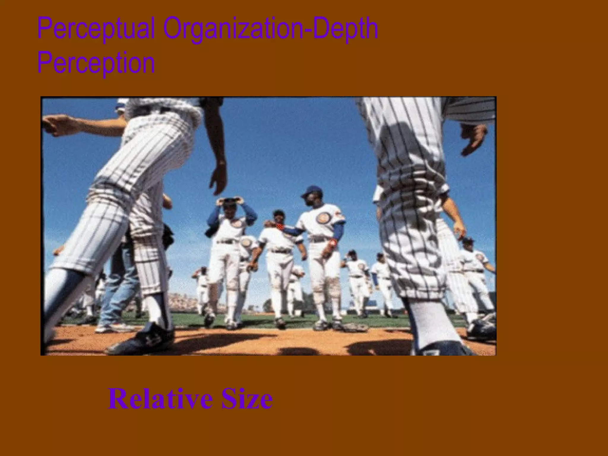 Perceptual Organization-Depth Perception Relative Size 