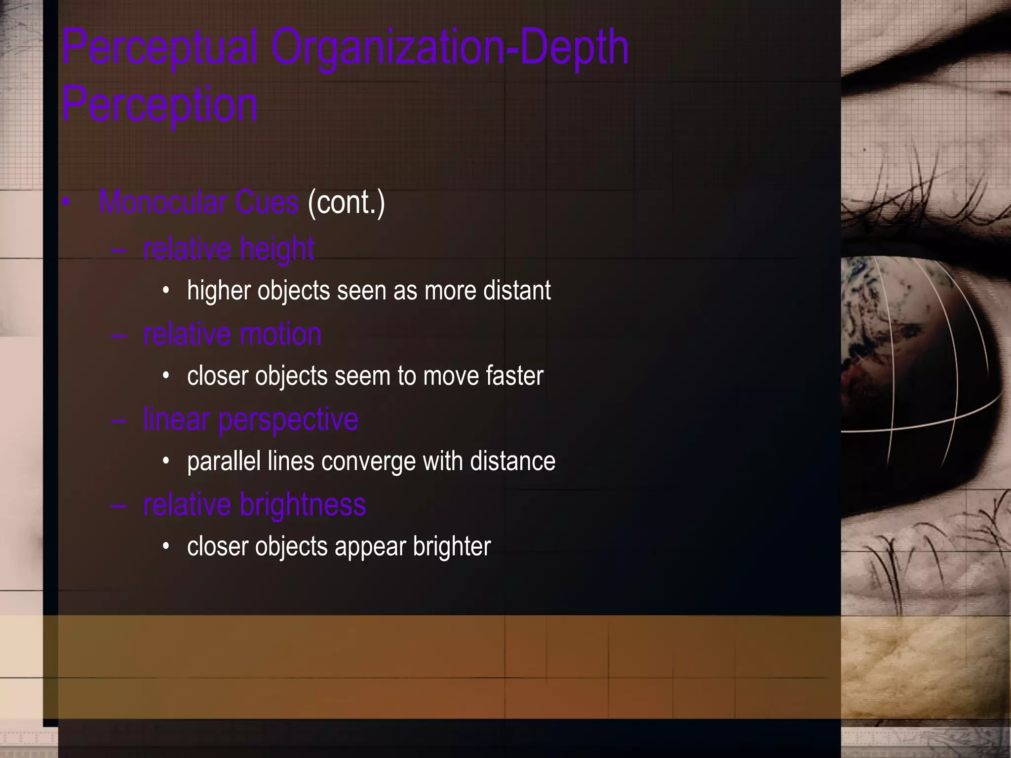 Perceptual Organization-Depth Perception Monocular Cues  (cont.) relative height higher objects seen as more distant relative motion closer objects seem to move faster linear perspective parallel lines converge with distance relative brightness closer objects appear brighter 