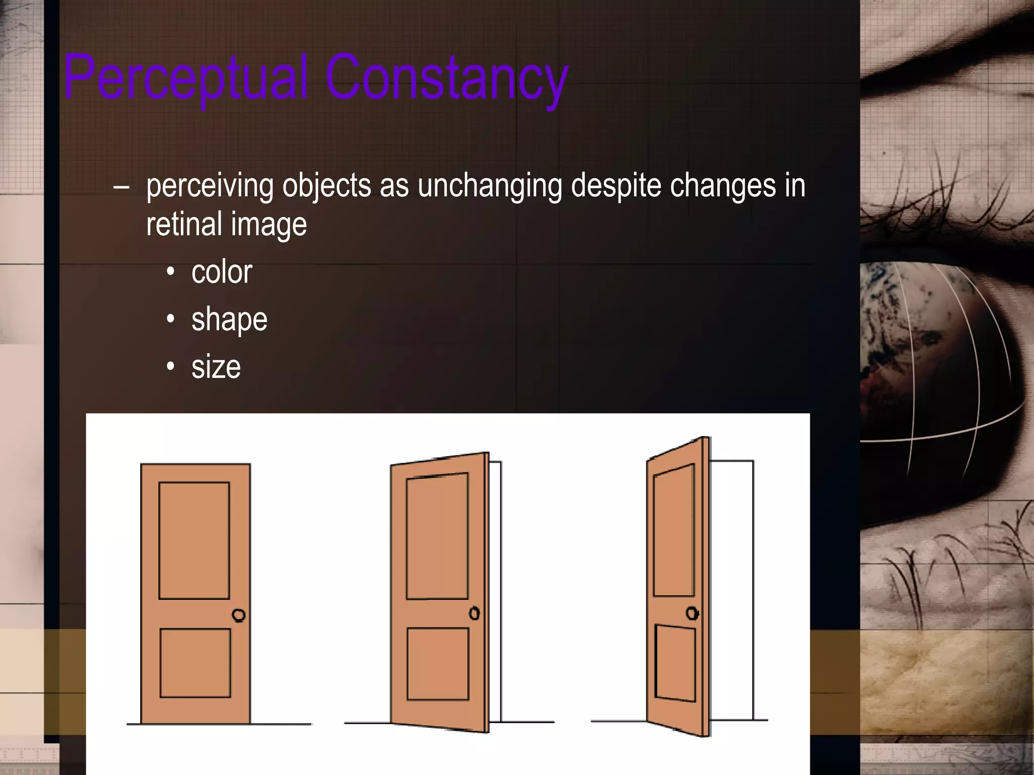 Perceptual Constancy perceiving objects as unchanging despite changes in retinal image color shape  size 
