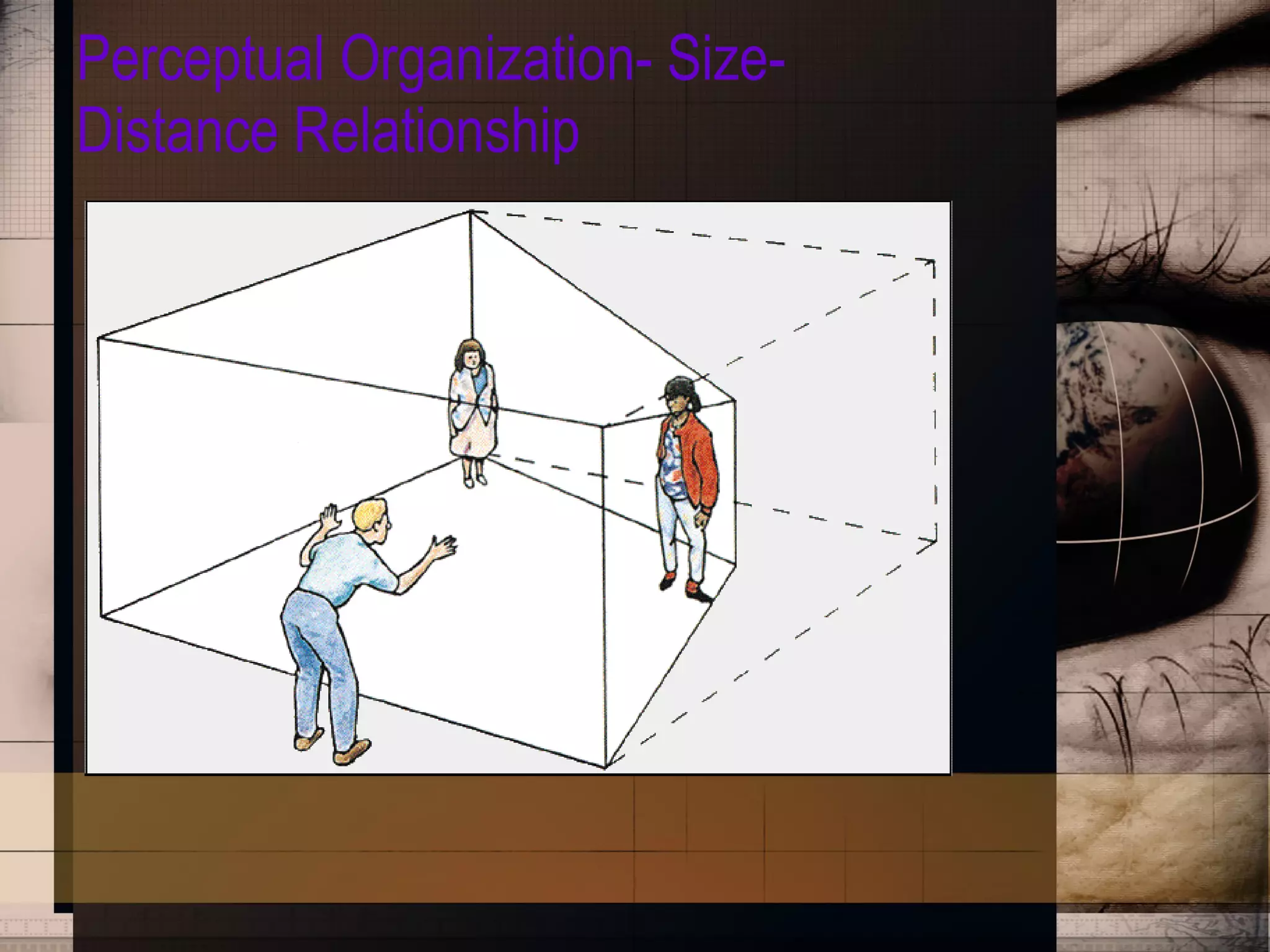 Perceptual Organization- Size-Distance Relationship 