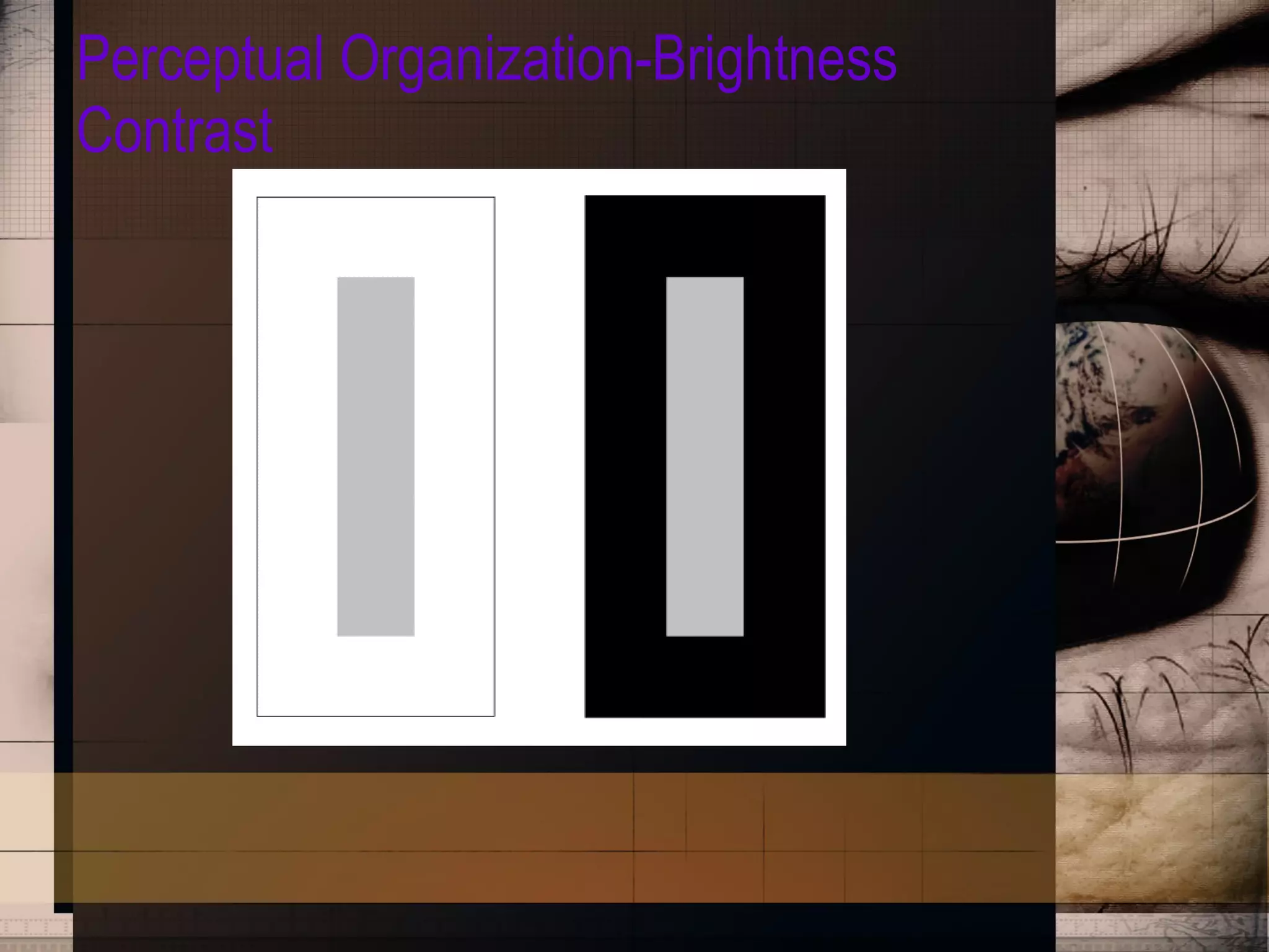 Perceptual Organization-Brightness Contrast 