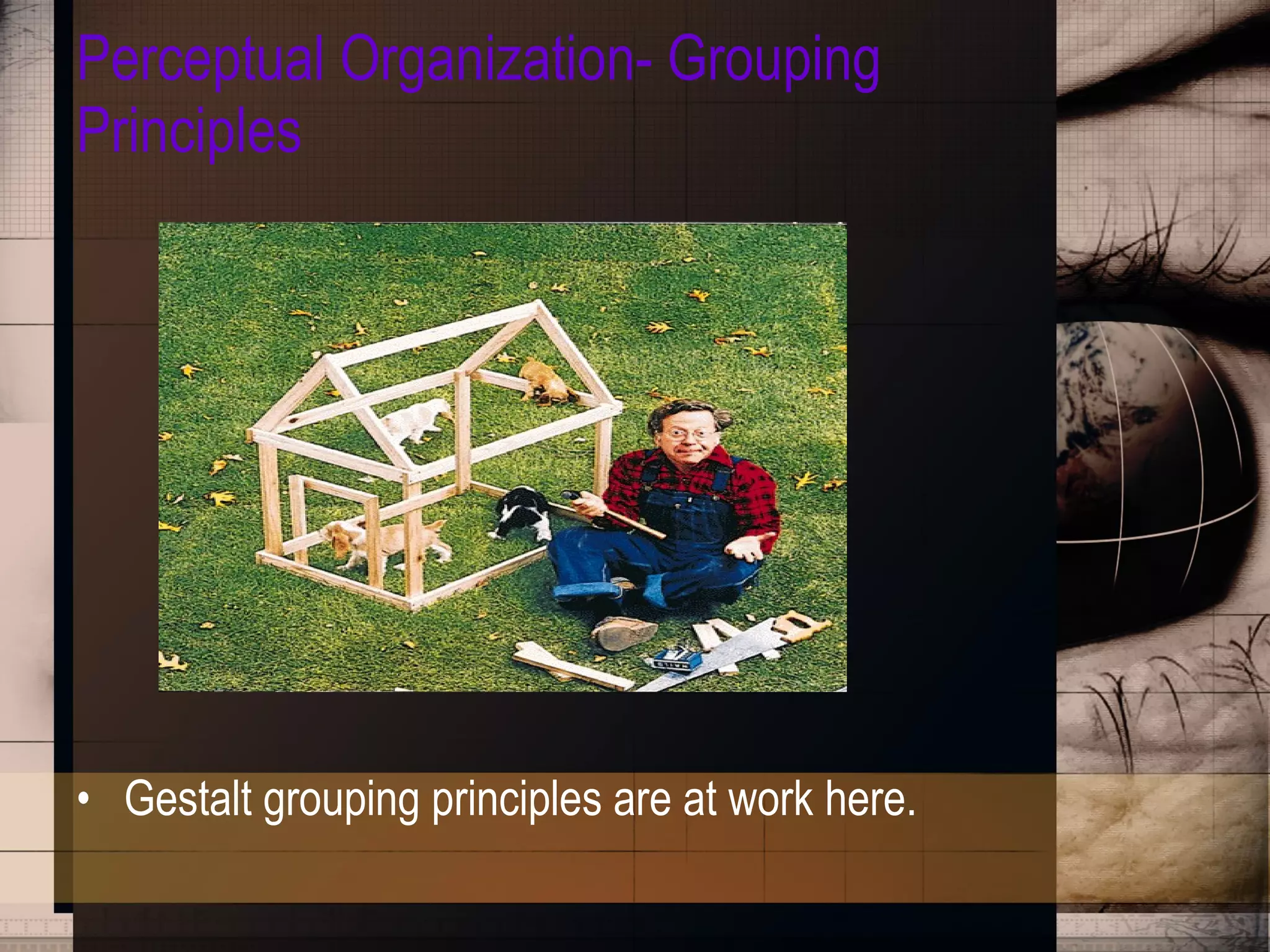 Perceptual Organization- Grouping Principles Gestalt grouping principles are at work here. 