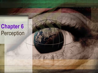 Chapter 6   Perception 