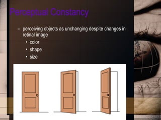 Perceptual Constancy perceiving objects as unchanging despite changes in retinal image color shape  size 