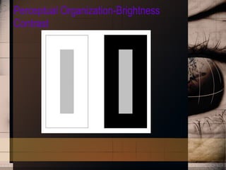 Perceptual Organization-Brightness Contrast 