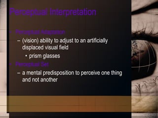 Perceptual Interpretation Perceptual Adaptation (vision) ability to adjust to an artificially displaced visual field prism glasses Perceptual Set a mental predisposition to perceive one thing and not another 