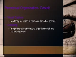 Perceptual Organization- Gestalt Visual Capture tendency for vision to dominate the other senses Grouping the perceptual tendency to organize stimuli into coherent groups 