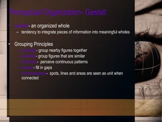Perceptual Organization- Gestalt Gestalt - an organized whole tendency to integrate pieces of information into meaningful wholes Grouping Principles proximity - group nearby figures together similarity - group figures that are similar continuity -  perceive continuous patterns closure - fill in gaps connectedness -  spots, lines and areas are seen as unit when connected 