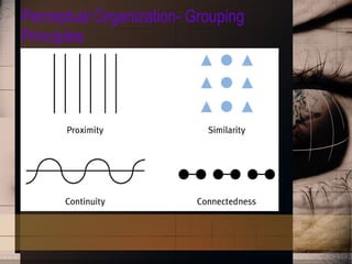 Perceptual Organization- Grouping Principles 