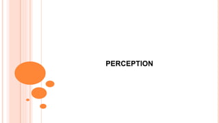 Perception | PPT
