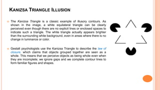 Perception | PPT