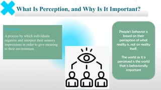 PERCEPTION and individual decision making | PPTX