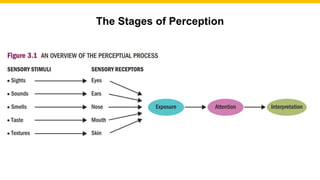 Consumer Behavior Perception Final Presentation.pptx