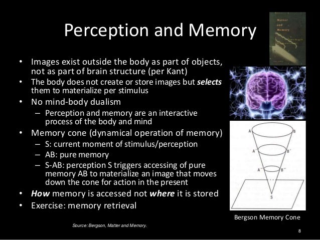 Perception in Nanocognition