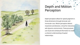 Visual Perception Directionality Explore key aspects and experiments in perception | PPTX