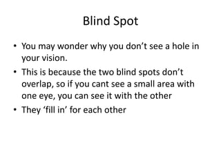 Blind Spot
• You may wonder why you don’t see a hole in
  your vision.
• This is because the two blind spots don’t
  overlap, so if you cant see a small area with
  one eye, you can see it with the other
• They ‘fill in’ for each other
 