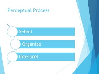 Perception and Decision Making | PPT