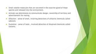  Small volatile molecules that are secreted in the exocrine gland of those
species and released into the environment.
 Animals use pheromones to communicate danger, ownership of territory and
advertisement for mating.
 Olfaction – sense of smell, involving detections of airborne chemicals called
odorants
 Gustation – sense of taste , involved detection of dissolved chemicals called
tastants.
 
