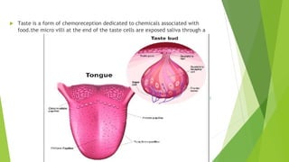  Taste is a form of chemoreception dedicated to chemicals associated with
food.the micro villi at the end of the taste cells are exposed saliva through a
 
