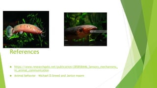 References
 https://www.researchgate.net/publication/285858446_Sensory_mechanisms_
in_animal_communication
 Animal behavior – Michael D.breed and Janice moore
 
