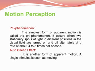 Perception of movement and time perception