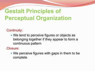 Perception of movement and time perception