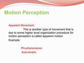 Perception of movement and time perception