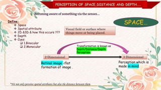PERCEPTION OF SPACE,DISTANCE AND DEPTH...
Becoming aware of something via the senses…
Define:
 Space
 Spatial attribute
 2D &3D & how this occurs ???
 Depth
 Cues:
 1.Binocular
 2.Monocular
Visual field or surface where
things move or being placed.
3-Dimensional
2-Dimensional
Retinal image -flat
formation of image .
Perception which is
made in mind.
Transformation is known as
Depth/Distance/Depth
Perception.
*We not only perceive spatial attributes but also the distance between them.
 