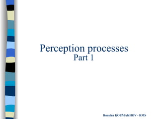 Perception processes Part 1 