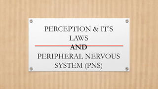 PERCEPTION & IT’S
LAWS
AND
PERIPHERAL NERVOUS
SYSTEM (PNS)
 