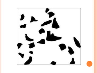 Pattern Perception Example Perception & personality | PPT